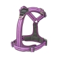 Preview: DOG Copenhagen V3 Comfort Walk Air Purple Passion